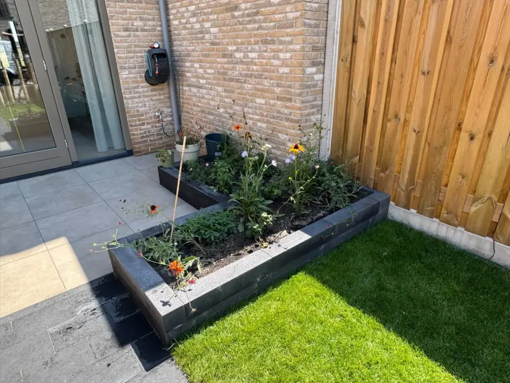 Nieuw aangelegde achtertuin met gazon en beplanting, door Tuinrobuust