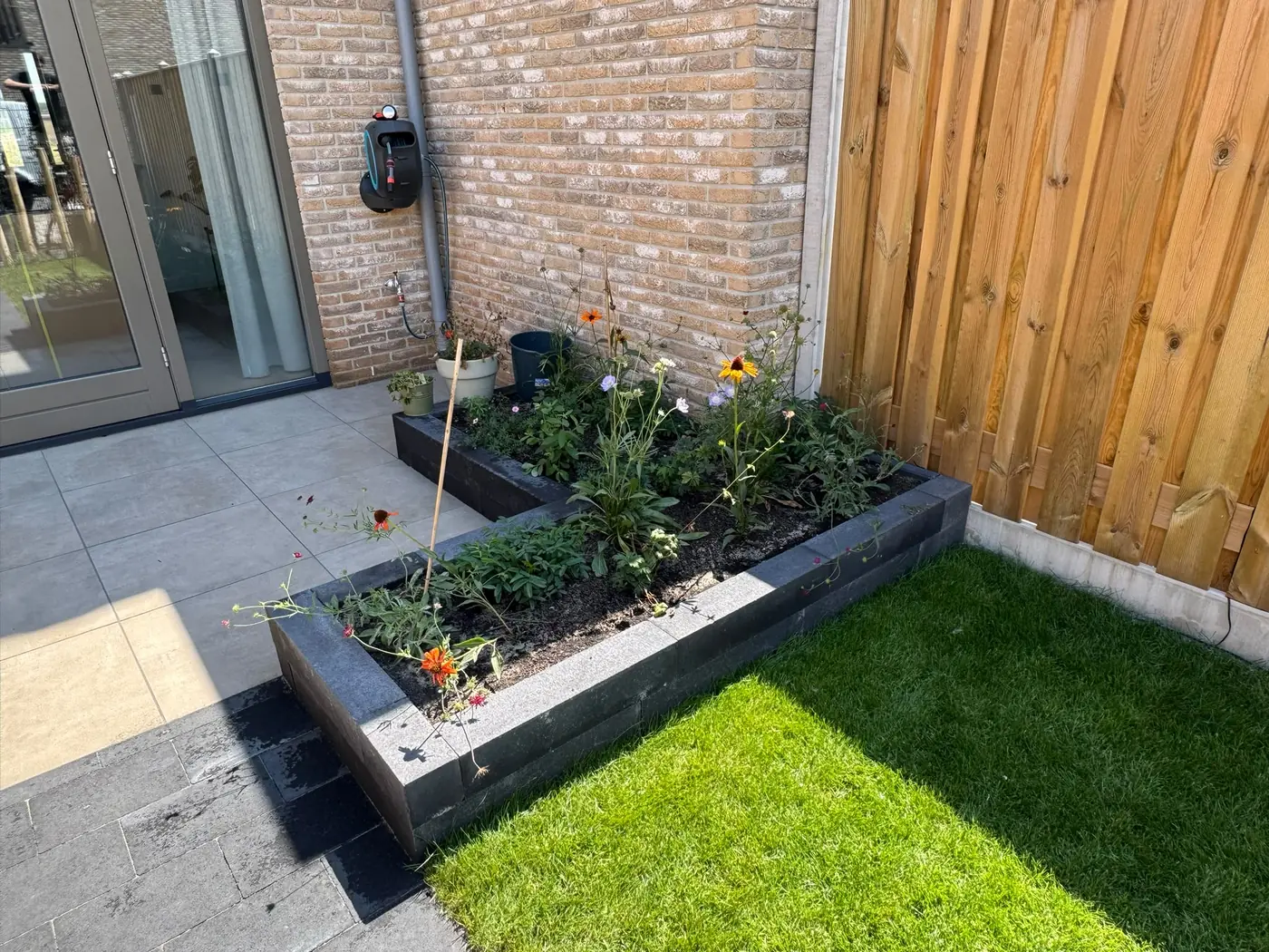 Nieuw aangelegde achtertuin met gazon en beplanting, door Tuinrobuust