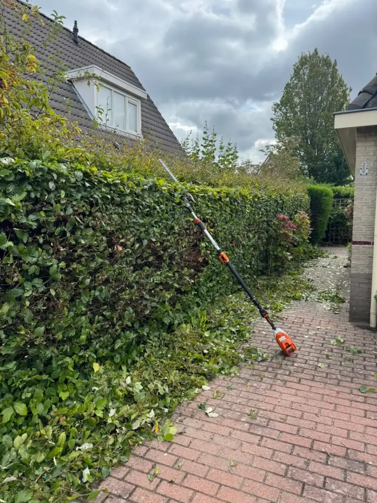 Haag snoeien met een heggenschaar op steel, door Tuinrobuust