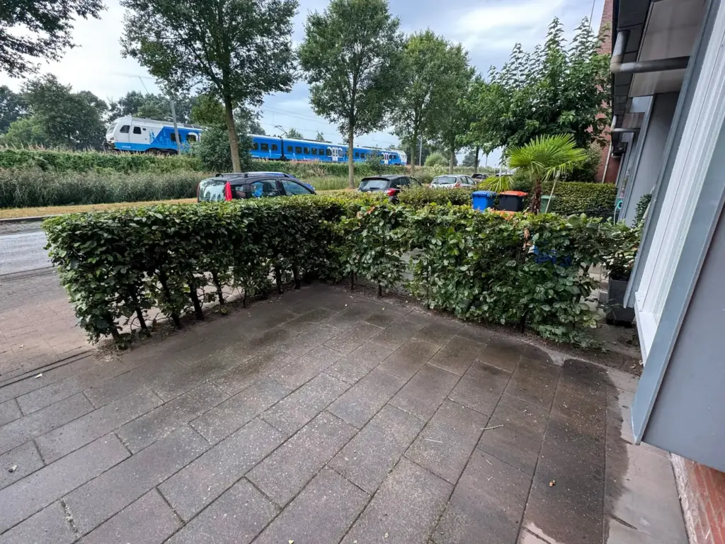 Strak gesnoeide haag in de voortuin, door Tuinrobuust
