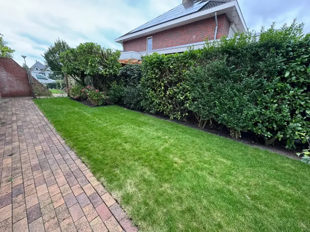 Nieuwe graszoden langs een klinkerpad, door Tuinrobuust