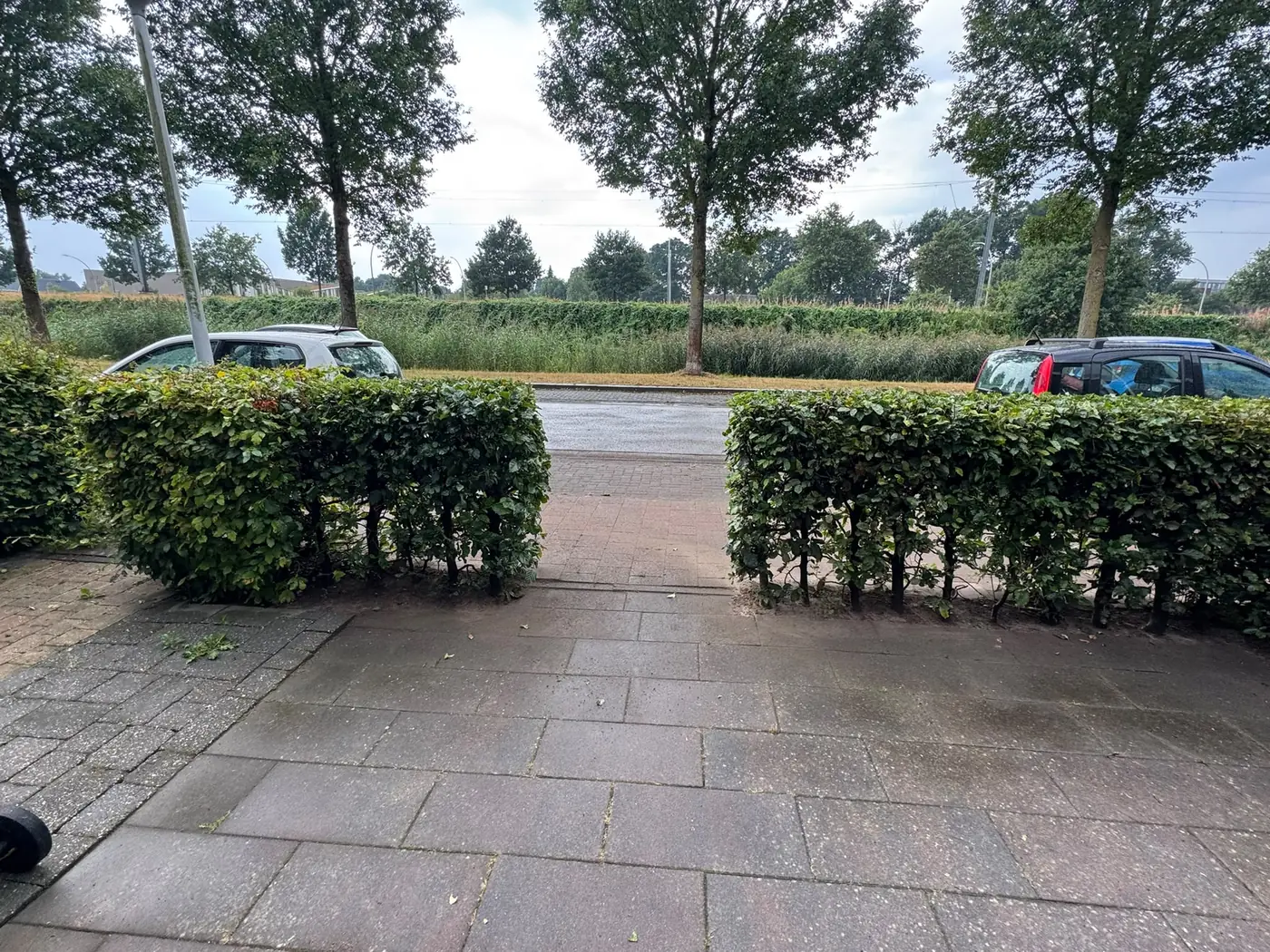 Voortuin met strak gesnoeide hagen, door Tuinrobuust